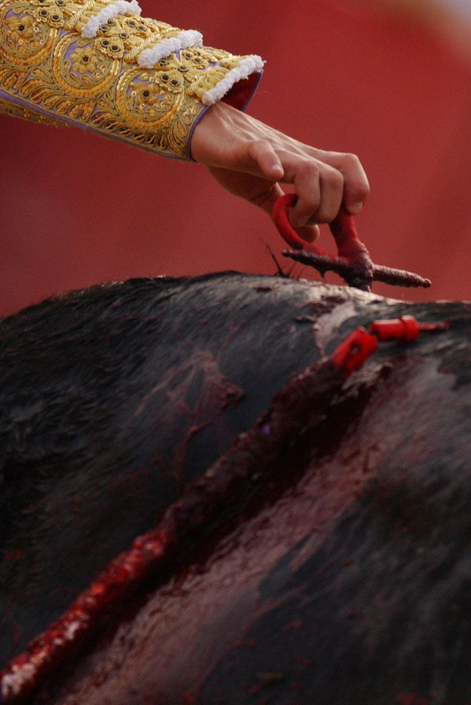 00/00/2007.Bloody details of Bullfighting.